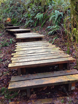Steps may be slippery with no edge protection Steps may be slippery with no edge protection